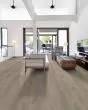 Paladin Plus Soft Beige Luxury Vinyl