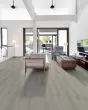 Paladin Plus Warm Grey Luxury Vinyl