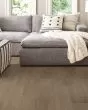 Endura Plus Casual Comfort Luxury Vinyl