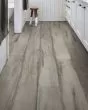 Endura Plus Fresh Driftwood Luxury Vinyl