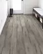 Endura Plus Fresh Driftwood Luxury Vinyl