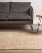Calisa CS5 Desert Area Rug