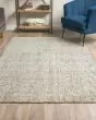 Calisa CS5 Fog Area Rug