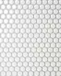 Le Cafe White Glossy Porcelain 3/4" Penny Round Mosaic Tile