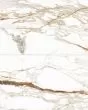 Prati Calacatta Macchia Vecchia Honed Glazed Porcelain 24"x48" Field TIle