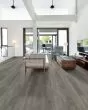 Pantheon HD Plus Calcare Luxury Vinyl
