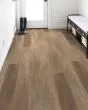 Pantheon HD Plus Foresta Luxury Vinyl