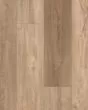 Pantheon HD Plus Foresta Luxury Vinyl