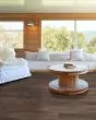 Pantheon HD Plus Orso Luxury Vinyl
