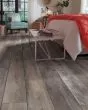 Pantheon HD Plus Tempesta Luxury Vinyl