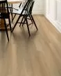 Distinction Plus Golden Timber Luxury Vinyl