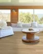 Distinction Plus Golden Timber Luxury Vinyl
