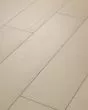 Homeward Subtle Beige 9"x60" Luxury Vinyl Tile