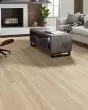 Paragon HD+ Natural Bevel Cambridge Luxury Vinyl
