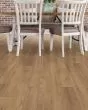 Paragon HD+ Natural Bevel Franklin Luxury Vinyl