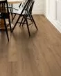 Paragon HD+ Natural Bevel Franklin Luxury Vinyl