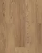 Paragon HD+ Natural Bevel Franklin Luxury Vinyl