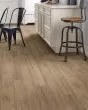 Paragon HD+ Natural Bevel Magnolia Luxury Vinyl