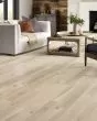 Paragon HD+ Natural Bevel Savona Luxury Vinyl