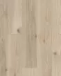 Paragon HD+ Natural Bevel Savona Luxury Vinyl