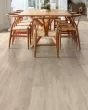 Praxis Plank Morris Luxury Vinyl