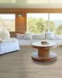 Praxis Plank Morris Luxury Vinyl