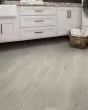 Praxis Plank Guild Luxury Vinyl