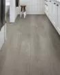 Praxis Plank Guild Luxury Vinyl