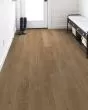 Praxis Plank Craftsman Luxury Vinyl
