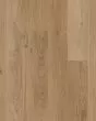 Praxis Plank Craftsman Luxury Vinyl