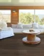 Praxis Plank Canon Luxury Vinyl