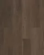 Praxis Plank Canon Luxury Vinyl