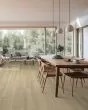 Dwell Cozy Taupe Luxury Vinyl