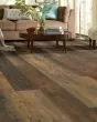 Titan HD Plus Platinum Autumn Barnboard Luxury Vinyl