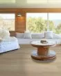 Titan HD Plus Platinum Heritage Hickory Luxury Vinyl