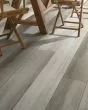 Titan HD Plus Platinum Modern Oak Luxury Vinyl