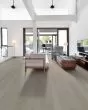 Titan HD Plus Platinum Serene Driftwood Luxury Vinyl