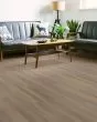 Infinite 20 Raconteaur Luxury Vinyl