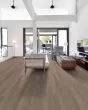 Infinite LL Salt River Luxury Vinyl