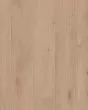 Fresh Take Occasional Beige Luxury Vinyl