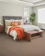 Quality Surface SmartStrand 40oz Carpet