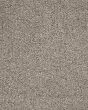 Luxuriant Surface Textured SmartStrand 55oz Carpet