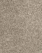Canine Chic Pet Friendly EverStrand Carpet