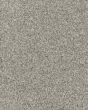 Apricity Textured Smartstrand 40oz Carpet