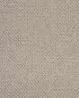 Imbue Grigio Carpet