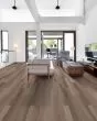 Paramount 512C Plus Almond Oak Luxury Vinyl