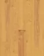 COREtec Plus 5"x48" Norwegian Maple Luxury Vinyl