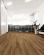 COREtec Pro Plus Enhanced Rocca Oak Luxury Vinyl