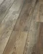 Antica HD Plus Saggio Luxury Vinyl