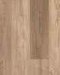 Antica HD Plus Foresta Luxury Vinyl